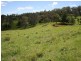 Kurrajong NSW 2758
