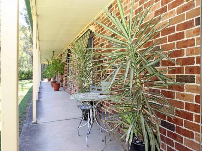 Glossodia NSW 2756