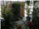 6 The Grove, Hallidays Point NSW 2430