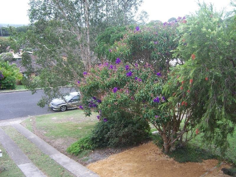 34 Divide Street, Forster NSW 2428