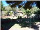 Forster NSW 2428