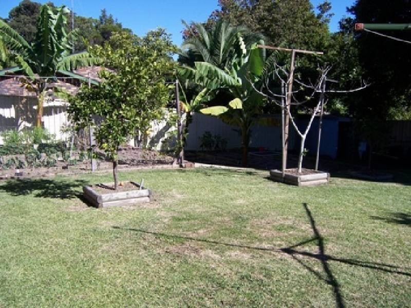 Forster NSW 2428