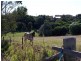 Forster NSW 2428