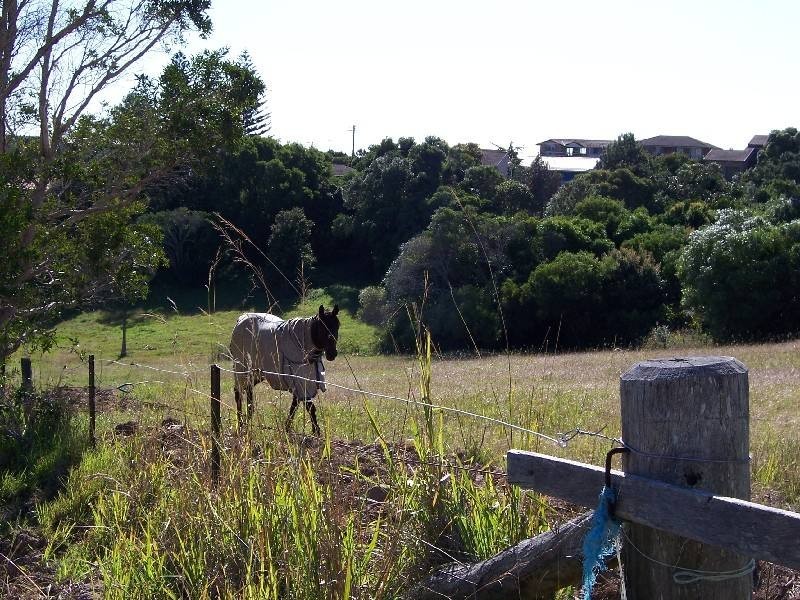 Forster NSW 2428