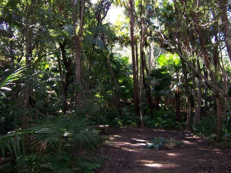 47 Carmona Drive, Forster NSW 2428