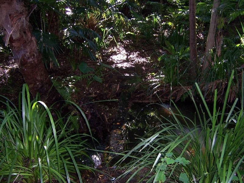 47 Carmona Drive, Forster NSW 2428