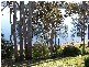 Green Point NSW 2428