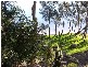 Green Point NSW 2428