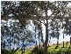 Green Point NSW 2428