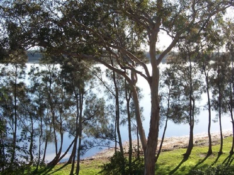 Green Point NSW 2428