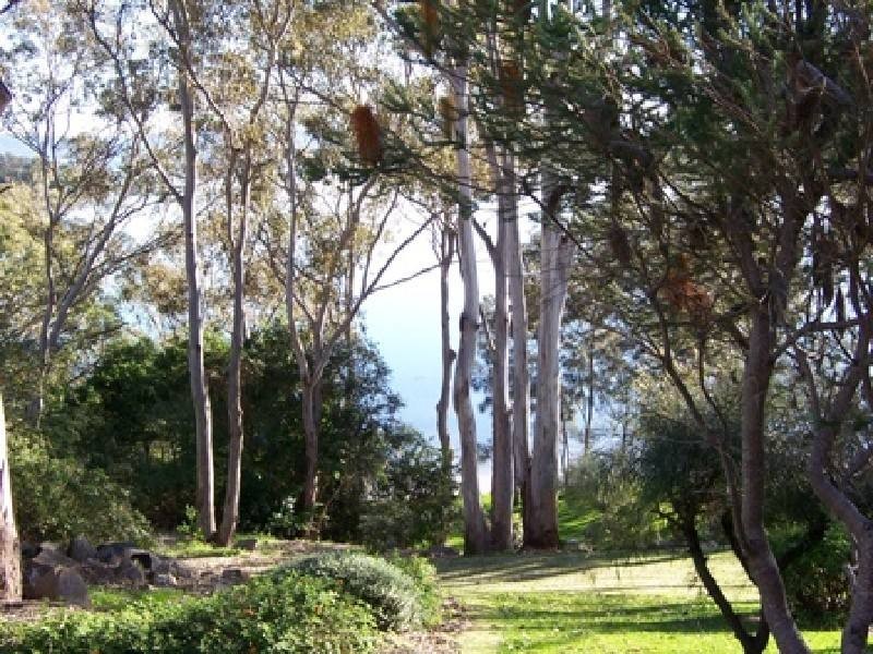 Green Point NSW 2428