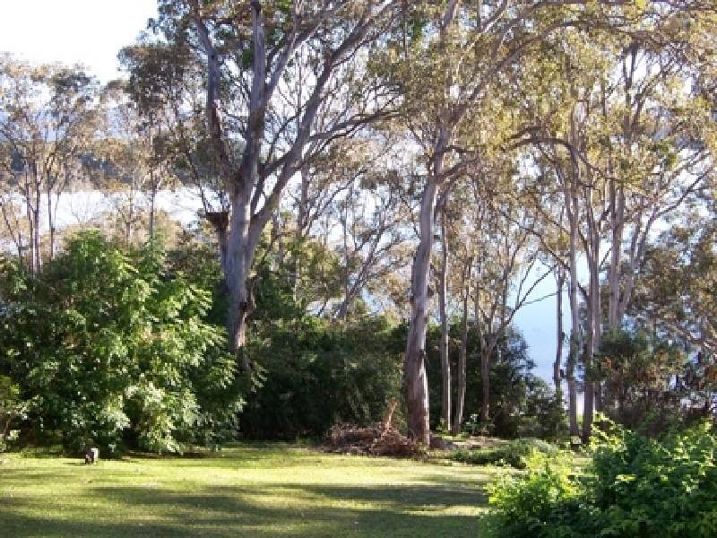 Green Point NSW 2428
