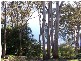 Green Point NSW 2428