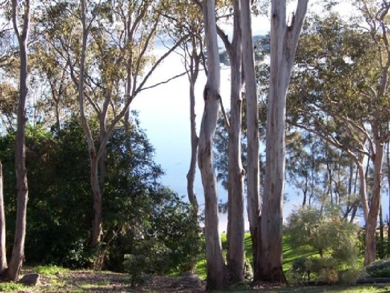 Green Point NSW 2428