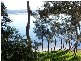 Green Point NSW 2428