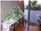 Tuncurry NSW 2428