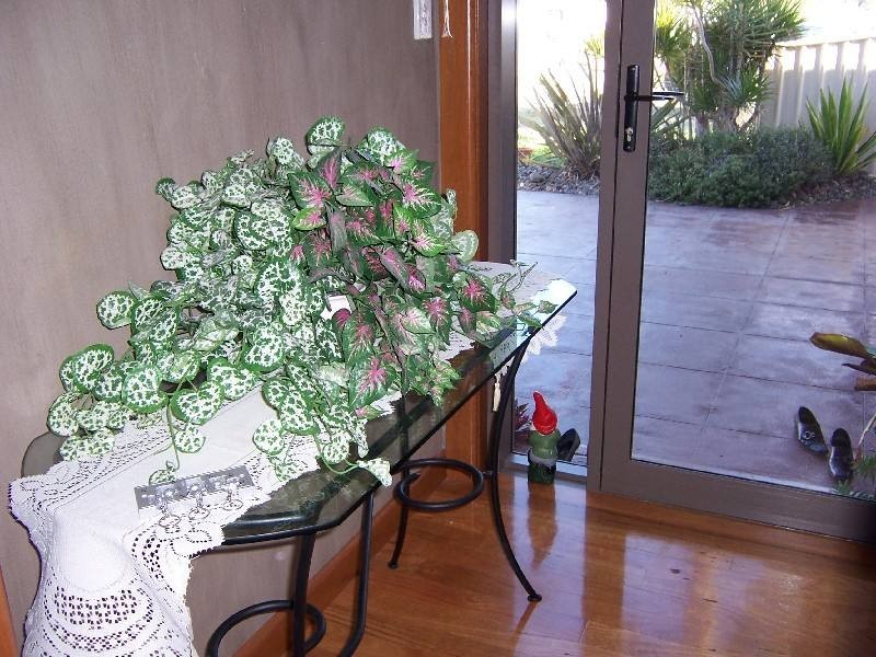 Tuncurry NSW 2428