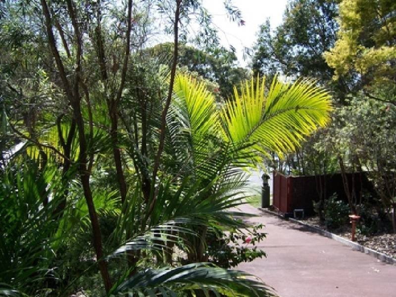 Forster NSW 2428