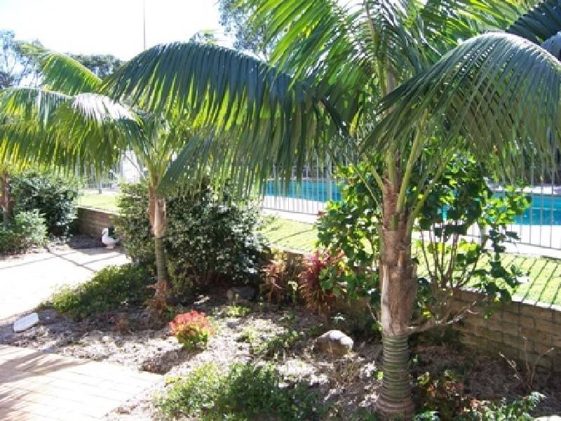 5 Greenfield Place, Forster NSW 2428