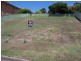 Forster NSW 2428
