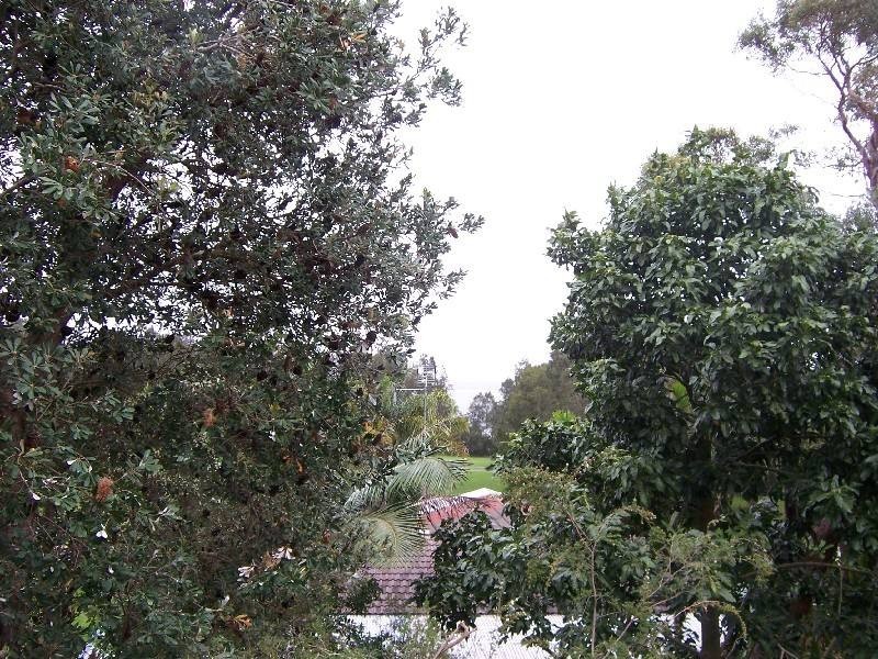 45 Hawaii Avenue, Forster NSW 2428