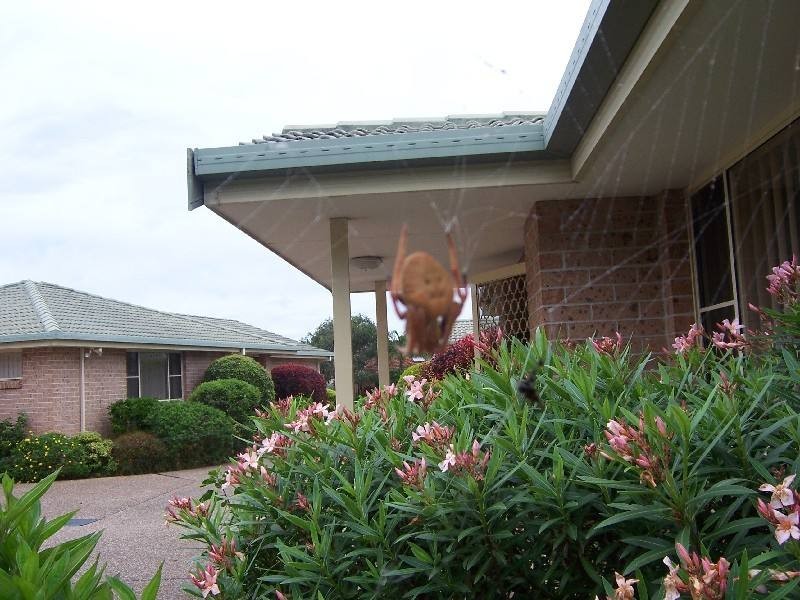 4 / 77 Hind Avenue, Forster NSW 2428