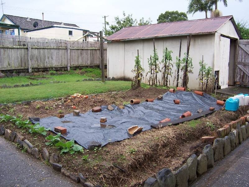 33 Hadley Street, Forster NSW 2428