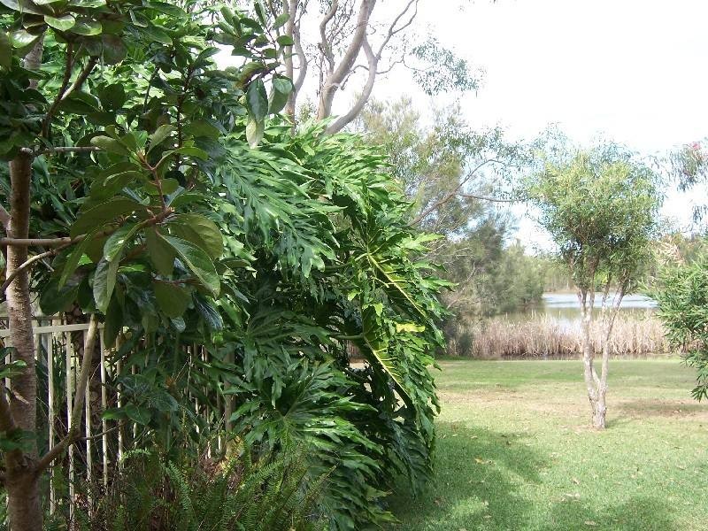 90 Myall Drive, Forster NSW 2428