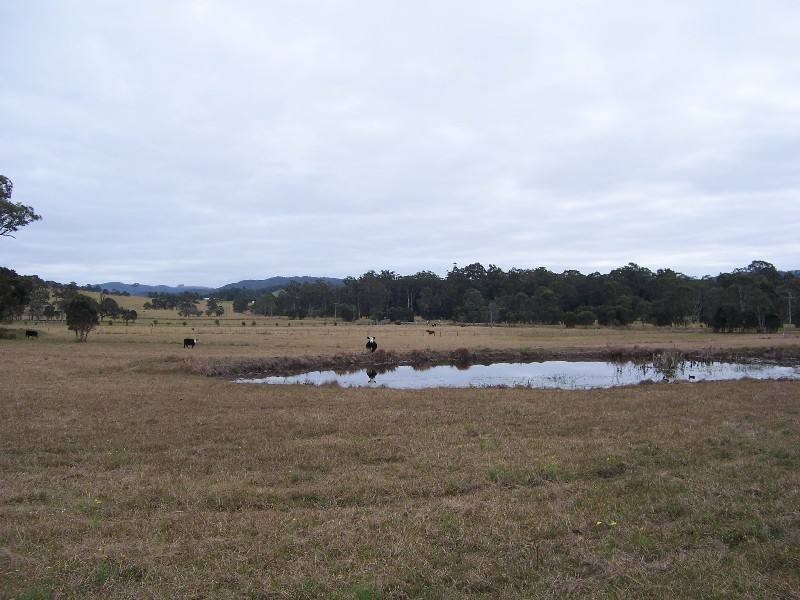 2548 Wallanbah Road, Firefly NSW 2429