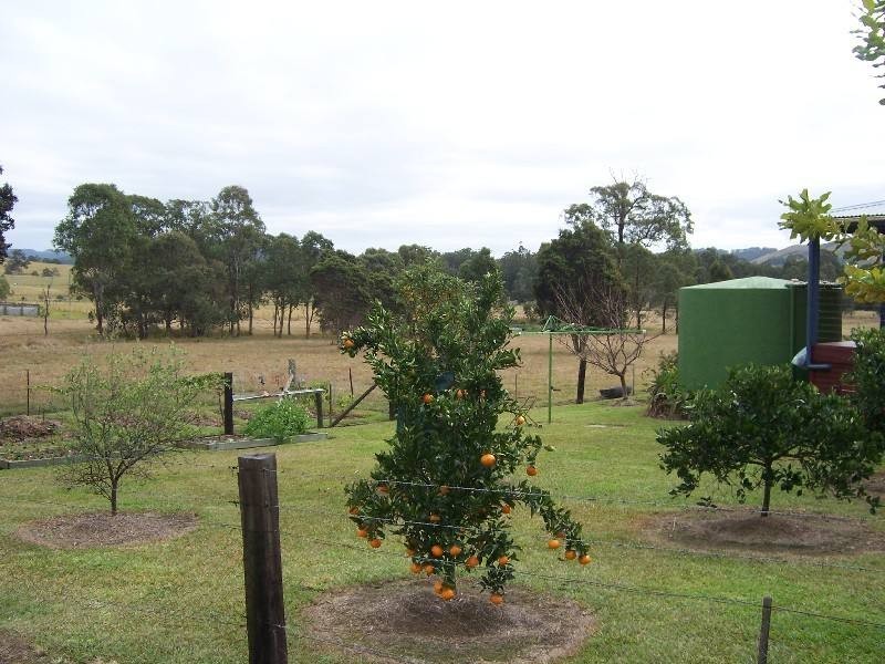 2548 Wallanbah Road, Firefly NSW 2429