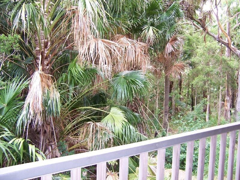 27 Kentia Drive, Forster NSW 2428