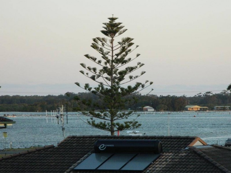 2/14 Taree Street, Tuncurry NSW 2428