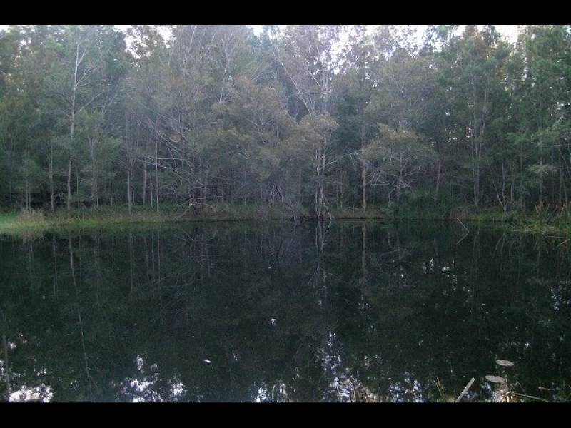 408 Minimbah Rd, Nabiac NSW 2312