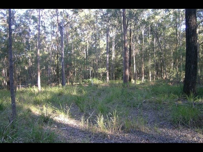408 Minimbah Rd, Nabiac NSW 2312