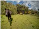 11 Carmona Lane, Forster NSW 2428
