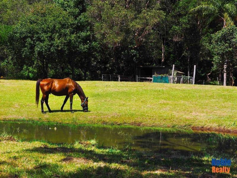 11 Carmona Lane, Forster NSW 2428