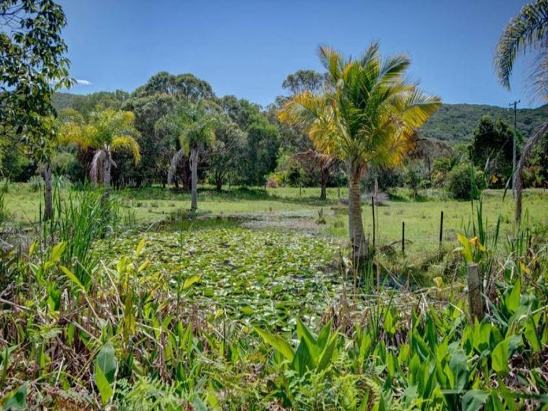 11 Carmona Lane, Forster NSW 2428