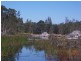 Darawank NSW 2428