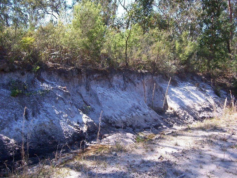Darawank NSW 2428