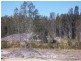 Darawank NSW 2428