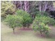 28 Stephen Street, Forster NSW 2428