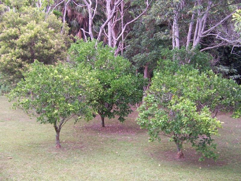 28 Stephen Street, Forster NSW 2428