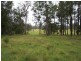 Lot 8 Pitt Wharf Road, Wang Wauk NSW 2423