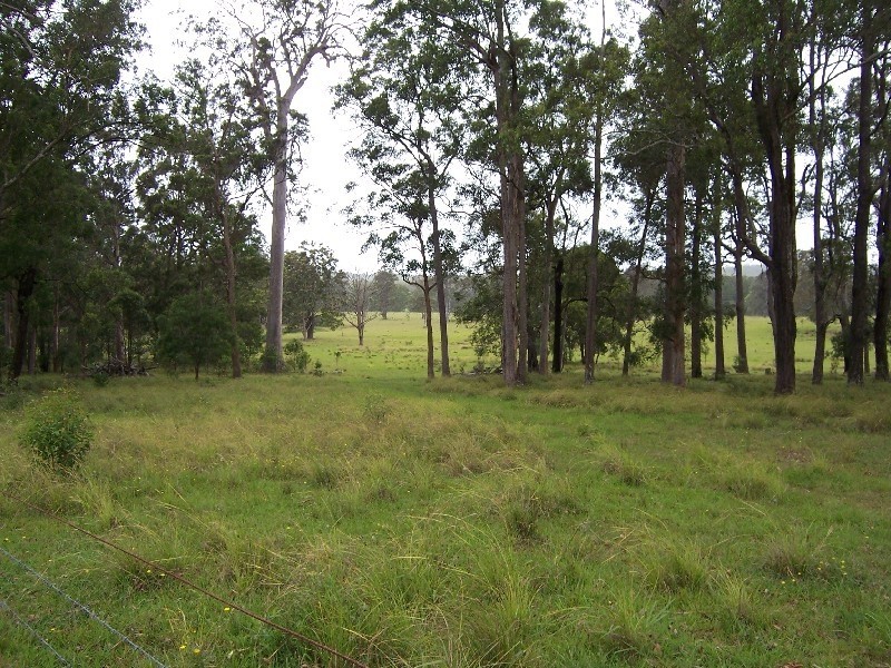 Lot 8 Pitt Wharf Road, Wang Wauk NSW 2423