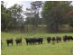 Lot 8 Pitt Wharf Road, Wang Wauk NSW 2423