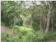 Lot 8 Pitt Wharf Road, Wang Wauk NSW 2423