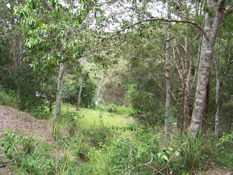 Lot 8 Pitt Wharf Road, Wang Wauk NSW 2423