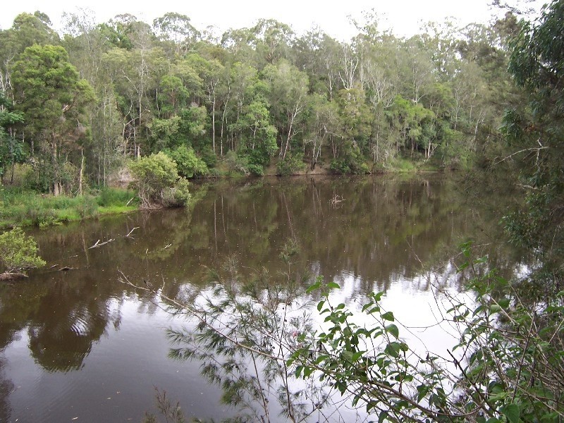 Lot 8 Pitt Wharf Road, Wang Wauk NSW 2423
