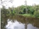 Lot 8 Pitt Wharf Road, Wang Wauk NSW 2423