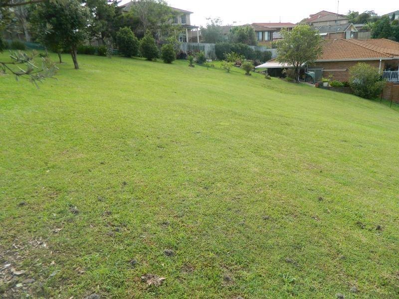 10 Blanch Place, Forster NSW 2428